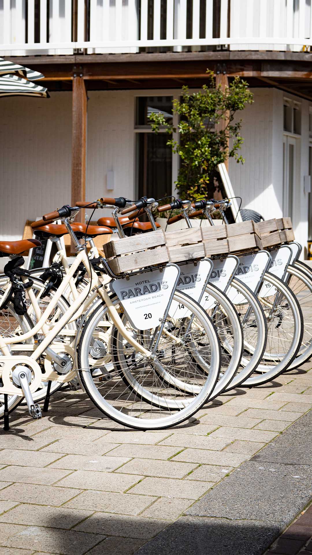 cycling in Zandvoort